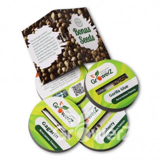 Gorilla Glue Auto Fem.