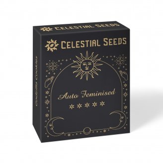 Семена конопли купить сорт Astral Auto Fem.