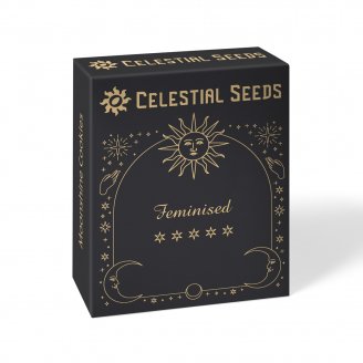 Семена конопли купить сорт Cap Junky Fem.